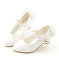 thumbnail image 3 of Cyiecw Girls Mary Jane Pump Flower Girl Wedding Party Low Heel Princess Dress Shoes for Toddler Little Kids, 3 of 7