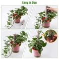 thumbnail image 3 of Matsuzay Soporte para plantas, poste de cultivo, herramienta de jardinería, instalación práctica, patio de larga duración, accesorios para Jardín y Patio Type1 28.5*4 cm, 3 of 6