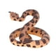 thumbnail image 1 of Serpiente de broma, serpiente de cascabel falsa, serpientes de plástico de colores realistas, juguetes complicados, integración perfecta, 1 of 14