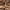 Brown, variant on SAFAVIEH Mariam Leather Shag Area Rug, White, 3' x 5'