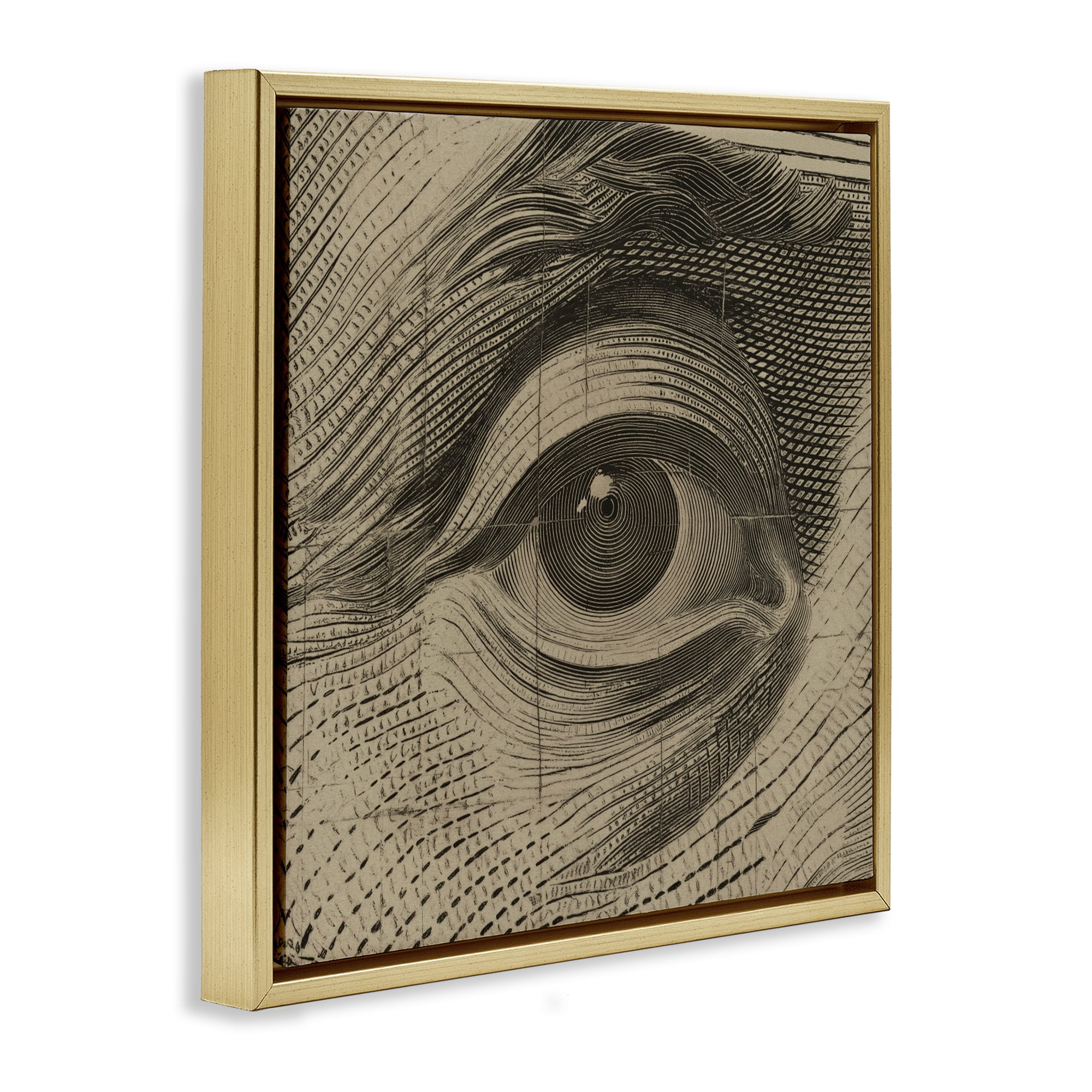 Stupell Industries Franklin's Gaze Eye Gold Framed Floater Canvas Wall Art, design by Svetlana Aleynikova