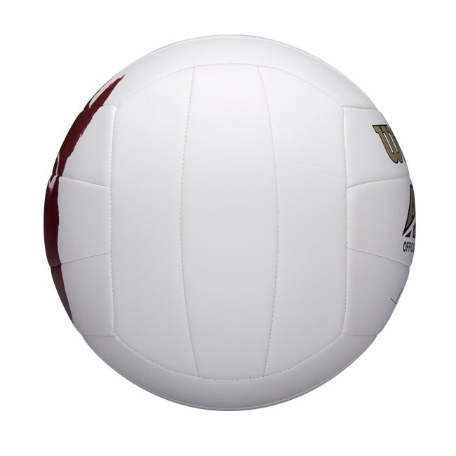 Wilson Cast Away Replica Volleyball photo 6