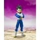 thumbnail image 2 of Figura de acción TAMASHII NATIONS Dragon Ball DAIMA Vegeta, 2 of 7