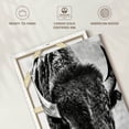 thumbnail image 6 of Elephant Stock Buffalo Portrait Wall Art - Vertical Canvas Wall Art - Living Room Wall Decor - Animal Canvas - White And Gray Decor By Phburchett - 20" x 30", 6 of 8