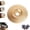 Bevel, 1PC, variant on Wood Carving Disc Set, Angle Grinder Polishing Pad, Wood Grinding Disc for Angle Grinder, Woodworking Angle Grinder Attachments Wheel for Cutting Polishing Carving (Flat, 1PC)