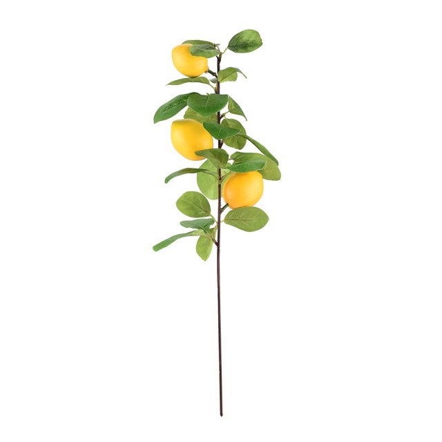 Rama de Limón Simulada Plantas de Casa Artificiales Decoración de Boda Rama de Limón DIY Ramitas de Limón de Imitación ANGGREK Otros