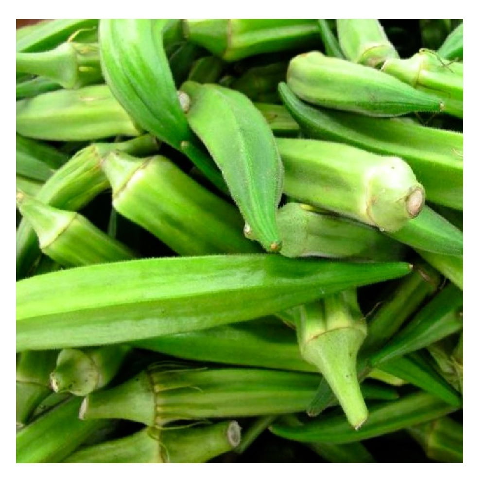 EMERALD GREEN 100  Heirloom Seeds,GLUTEN FREE,NON-GMO  FREE Shipping OKRA 