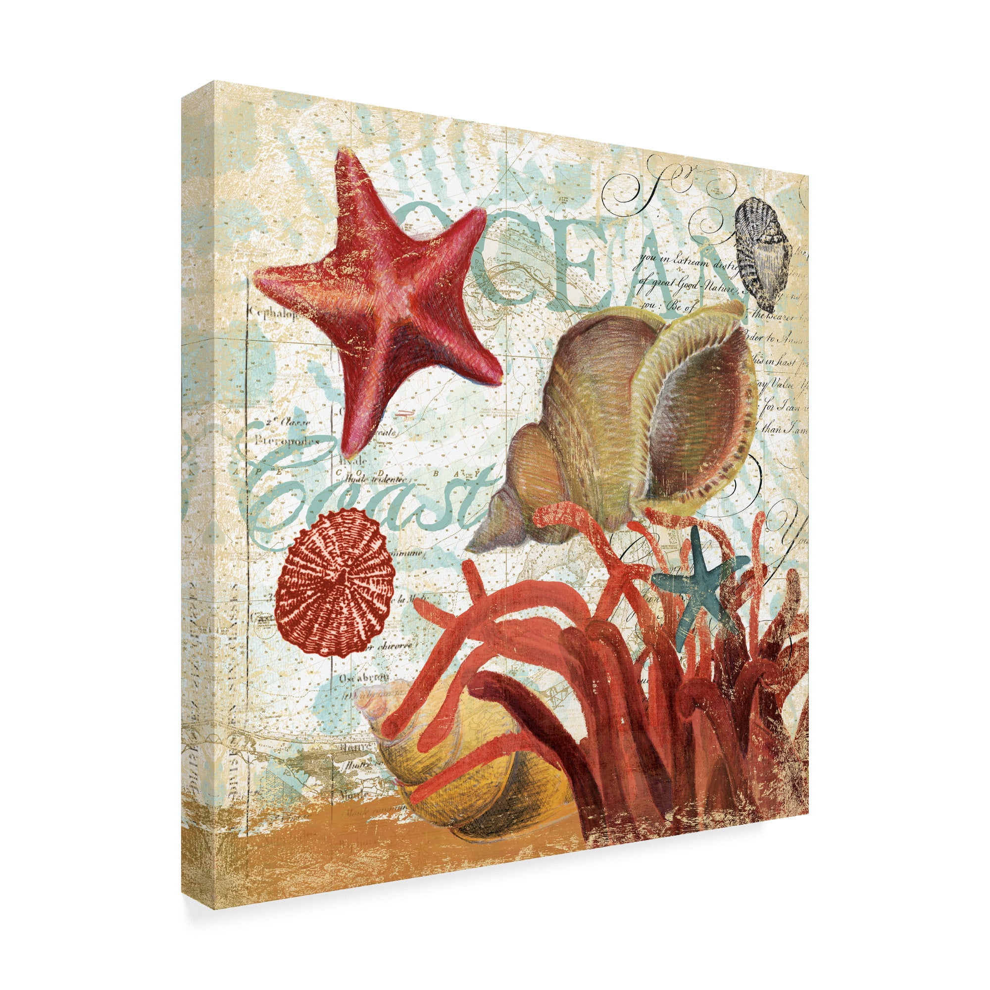 Trademark Fine Art 'Shell Collector Ocean' Canvas Art by Art Licensing Studio