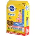 Pedigree Puppy Growth & Protection Dry Dog Food Chicken & Vegetable