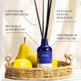 thumbnail image 4 of Aceite Reed Diffuser Xcleen con aroma a cítricos, naranja, lima y limón, 4 of 6