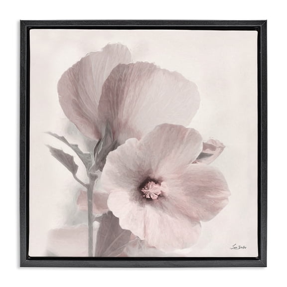 Stupell Industries Traditional Vintage Apple Blossom Black Floating Frame Canvas Art, 18 x 18, by Lori Deiter