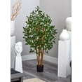 thumbnail image 3 of 5' Ficus Bushy Silk Tree, 3 of 4