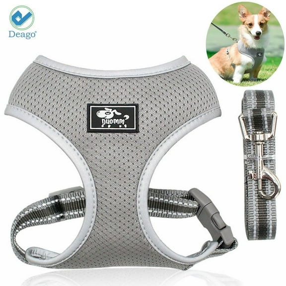 Deago Dog Harness Leash Set, Dog Harness No-Pull Pet Harness Adjustable Reflective Mesh Outdoor Pet Vest for Dogs Easy Control for Small Medium Dogs - Size XS, Gray