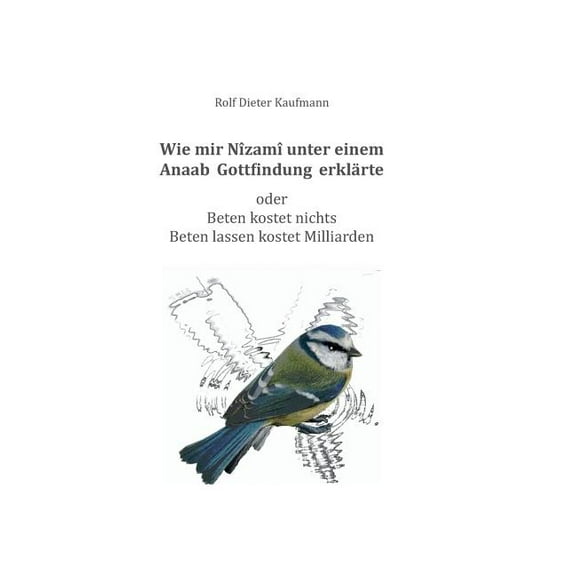Wie mir Nîzamî unter einem Anaab Gottfindung erklärte (Hardcover)
