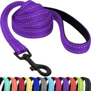 Nylon Dog Leash 5ft for Daily Outdoor Walking Running TrainingReflective Pet Leashes for Large, Medium & Small Dogs (Purple, Medium)