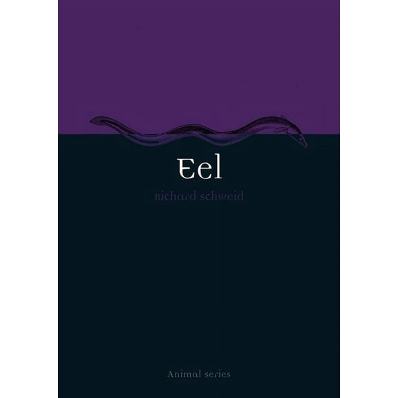 Animal: Eel (Paperback)