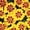 Marietta, variant on French Marigold Flower Garden Seeds - Disco Series - Mix - 1000 Seeds - Annual Flower Gardening Seeds - Tagetes patula