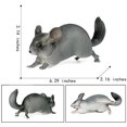 thumbnail image 3 of Chinchilla Figurine, Realistic Plastic Wild Chinchilla Figurine Set for Collection Science Educational Prop, Chinchilla Statue, Forest Style Home Decor Accessories or Cake Toppers Decoration, 3 of 7