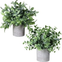Set of 2 Faux Mini Potted Plants Artificial Eucalyptus Boxwood Plants in Pots Fake Greenery Arrangement for Rustic Farmhouse Indoor Table Centerpiece Mantel Shelf Kitchen Office Desk Decor A
