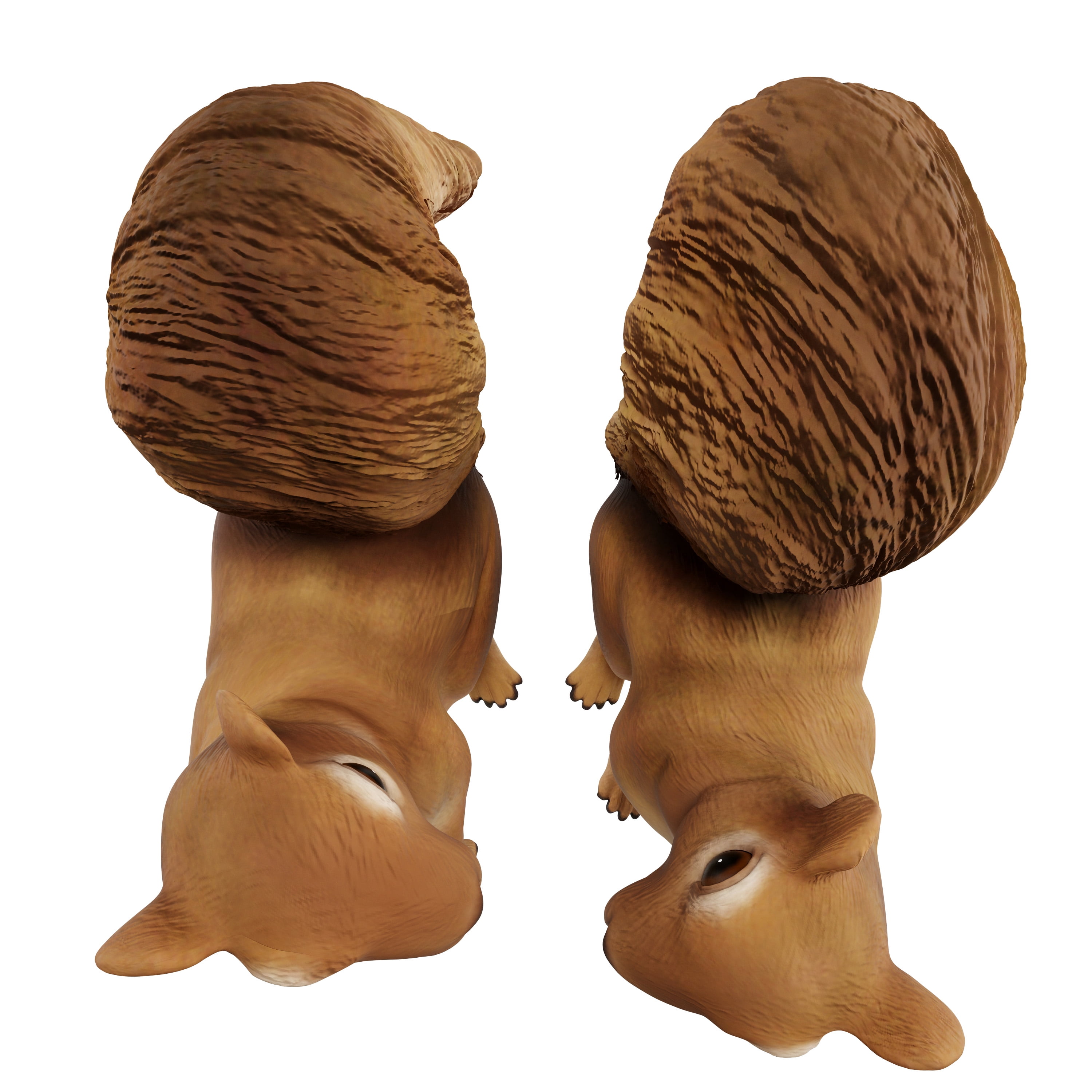 Squirrel Statues-Resin Animal Figurine (Set of 2)
