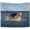 Color 06, variant on Fat Black Cat vs. Shark Tapestry, Vintage Renaissance Funny Cat Meme Tapestry Wall Hanging, Nautical Ocean Shark Wall Tapestries for Bedroom Living Room Home Decor, 30x40 Inch