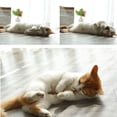 thumbnail image 4 of Silvervine Chew Sticks, Natural Catnip For Improved Oral Health And Digestion, Promoting Happiness In Your Cat, 4 of 7