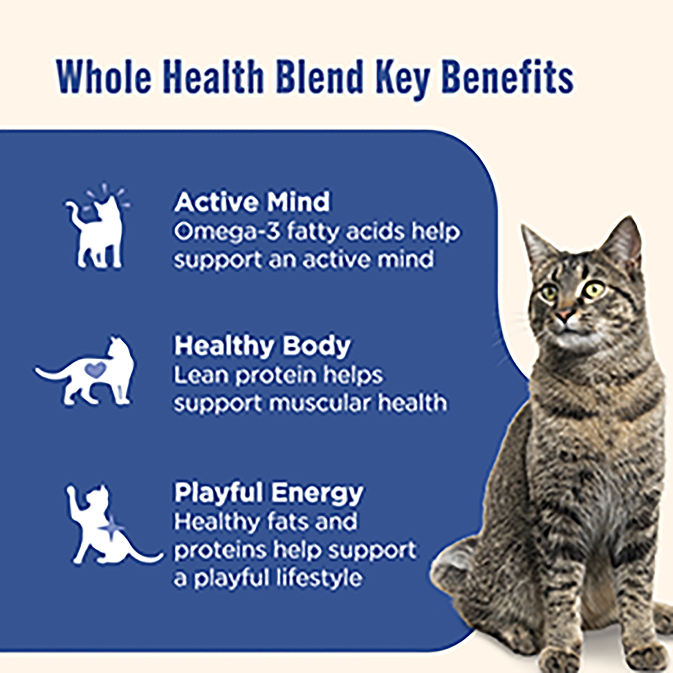 Nutrish Grain Free Wet Cat Food Ocean Fish & Chicken Catch-iatore Whole Health Blend with Real Flaked Ocean Fish & Shredded Chicken in Sauce, 2.8 oz. Cup (Rachael Ray)