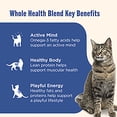 thumbnail image 5 of Nutrish Grain Free Wet Cat Food Ocean Fish & Chicken Catch-iatore Whole Health Blend with Real Flaked Ocean Fish & Shredded Chicken in Sauce, 2.8 oz. Cup (Rachael Ray), 5 of 13