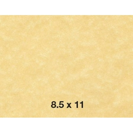 New Stock (8.5 X 11 Stationery Parchment Recycled Paper 65lb. Cover Cardstock - New Champagne - (50 Sheets Per)