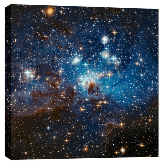 Epic Graffiti "LH 95 Star Cluster" Hubble Space Telescope Giclee Canvas Wall Art 18" x 18"