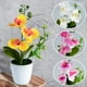 thumbnail image 4 of Matsuzay Flores artificiales en maceta, elegante, duradera, duradera, para interiores o exteriores, nueva flor de simulación Flores artificiales D, 4 of 6