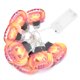 thumbnail image 5 of Luz De Calabaza LED, Cadena De Luz De 10 LED De Amplia Aplicación Segura Para Usar Iluminación Cálida Para El Hogar Para El Patio Para El Jardín ANGGREK Pumpkin Light String, 5 of 8
