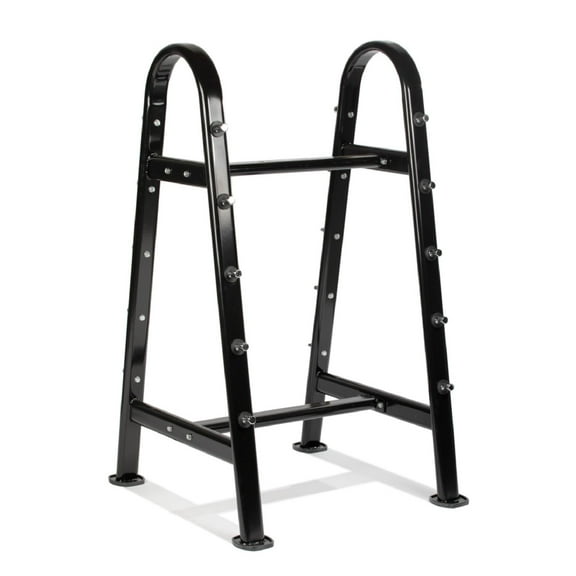 Titan Fitness Fixed Barbell Rack, Holds 10 Straight or EZ Curl Bars, Free Standing A-Frame Garage Gym Barbell Weight Storage Rack Stand