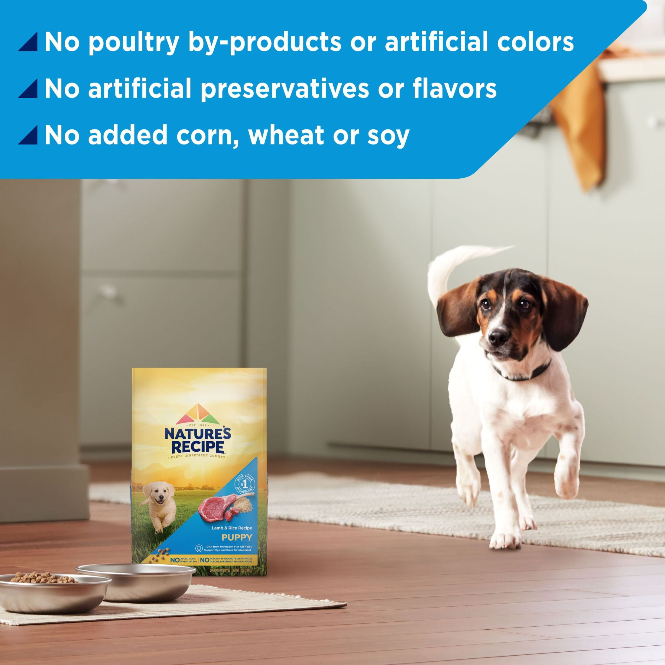 Nature s Recipe Brandclub Nature s Recipe Puppy Food Lamb Rice Flavor Recipe Dry Dog Food 12 lb Bag