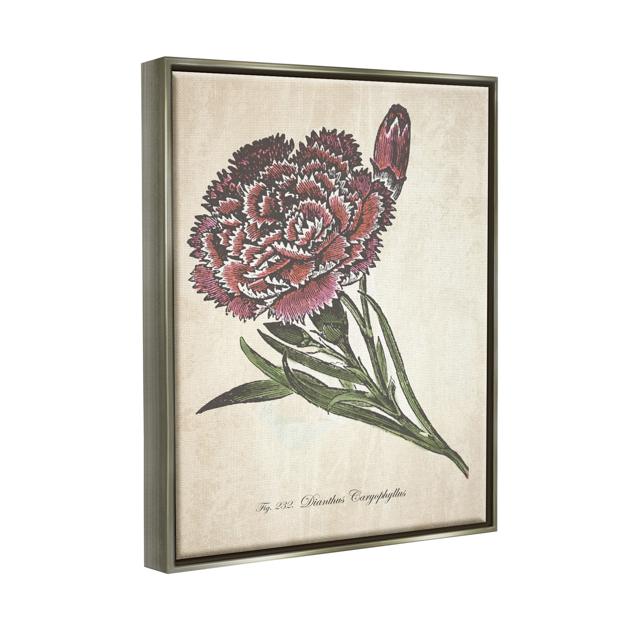 Stupell Industries Botanical Carnation Flower Drawing Red Green Design Luster Gray Framed Floating Canvas Wall Art, 16x20, by The Saturday Evening Post