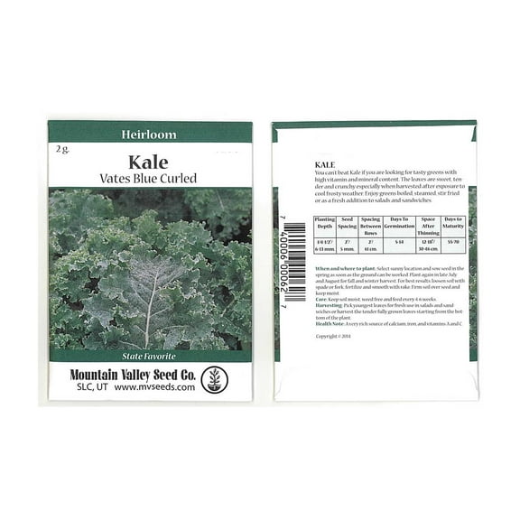 Kale Garden Seeds - Vates Blue Scotch Curled - 2 Gram Packet - Non-GMO, Heirloom- Vegetable Gardening & Microgreens