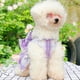 thumbnail image 4 of Correa para mascotas, ropa para perros y gatos, chaleco JK, ropa de tracción, osito de peluche para salir, correa para el pecho, correa para pasear perros, 4 of 6