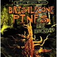 thumbnail image 1 of Bristlecone Pins Sont Anciens!, Couverture Rigide Patricia Fletcher, 1 of 1