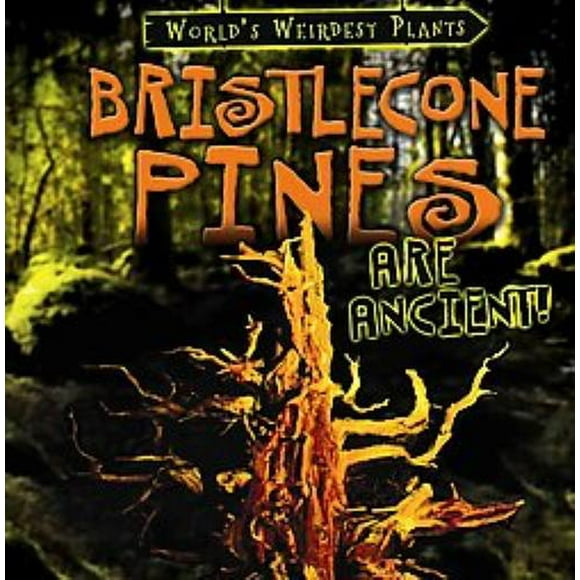 Bristlecone Pins Sont Anciens!, Couverture Rigide Patricia Fletcher