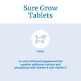 PetAg Sure Grow 100 NutrientRich Pet Tabs Calcium & Phosphorus