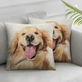 thumbnail image 2 of Nawypu  Sofa Pillow Case, Decorative Throw Pillow Cushion Cover for Home Office Cute Winking Golden Retriever Dog 2pc, 2 of 6