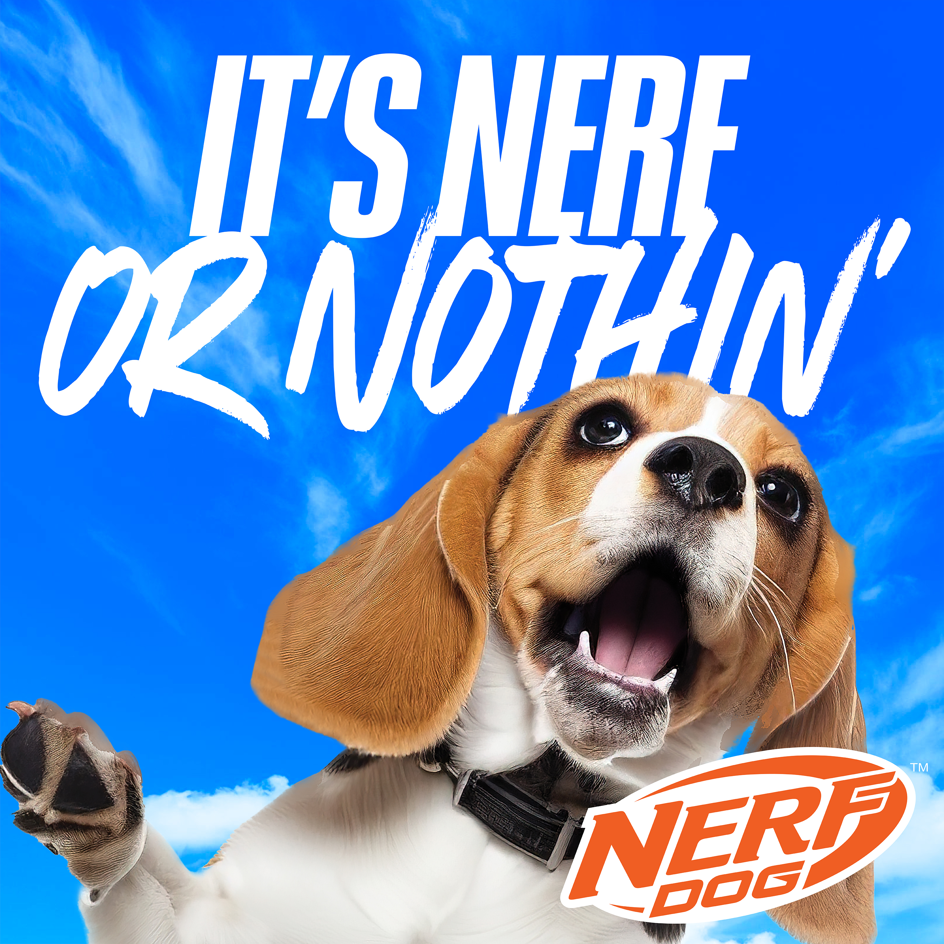 Nerf Dog X-Weave Squeak Soccer Ball photo 8