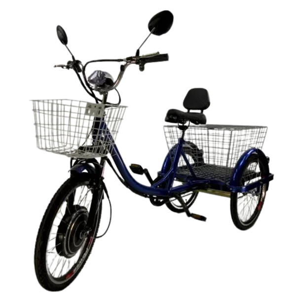 Dlf Bici De Ruedas Triciclo Eléctrico, Bicicleta Motorizada De