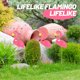 thumbnail image 4 of Hytrove De Flamenco De Resina Rosa Para Jardín Y Paisaje En Casa, 4 of 7