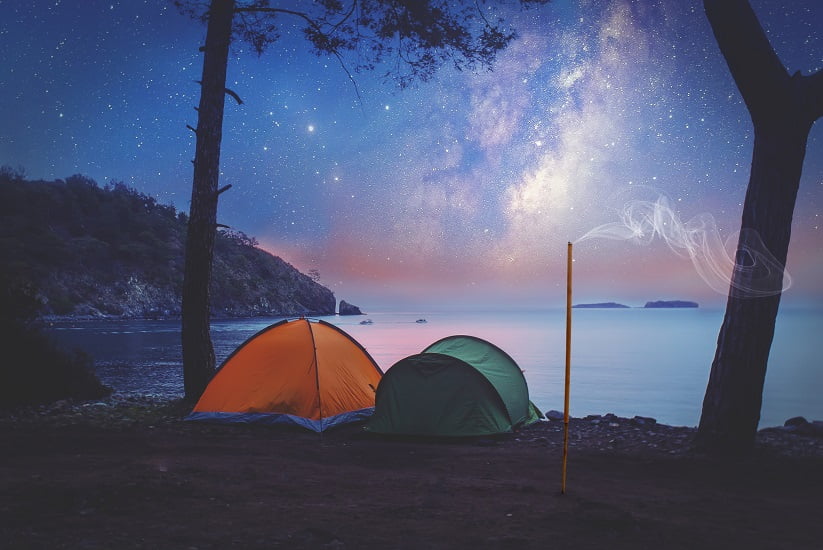 giant carrier sage stroller