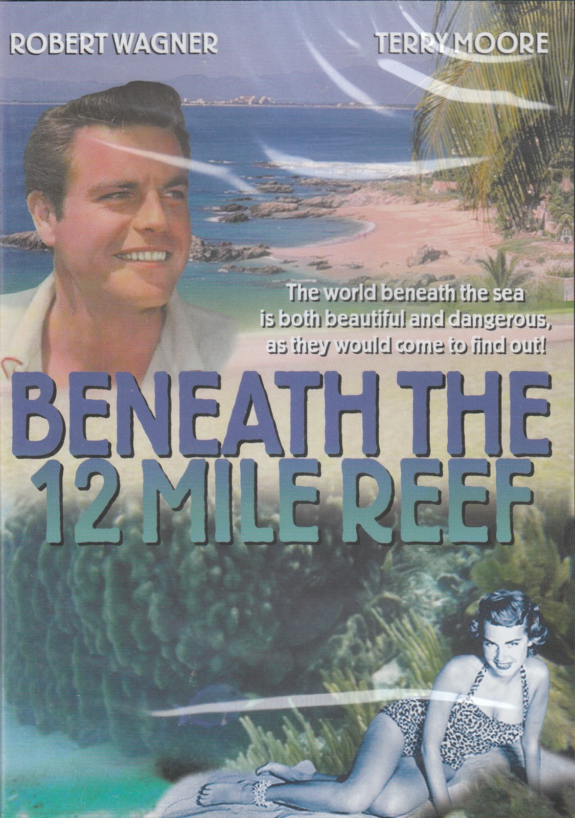 Beneath The 12 Mile Reef - Walmart.com