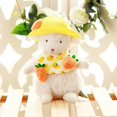 thumbnail image 2 of Ins - Conejo de peluche de cordero sentado, juguete de alta calidad, muñeco de peluche, súper lindo, regalo para niños y novias zhangyuxiang LED, 2 of 2