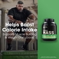 thumbnail image 2 of ON SERIOUS MASS VAINILLA 6 LIBRAS OPTIMUM NUTRITION ON SERIOUS MASS VAINILLA 6 LIBRAS, 2 of 7