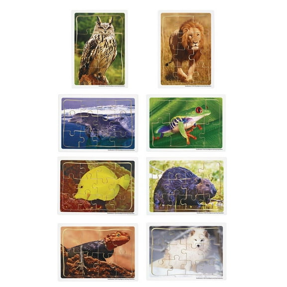 Excellerations Animals in Their Biomes Puzzles - Set of 8
