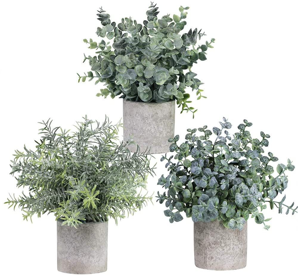 Potted Eucalyptus Small Artificial Eucalyptus Ornamental Green Plants